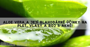 a close-up of fresh aloe vera leaf gel showing its transparent, soothing gel used for natural skin care and healing.
