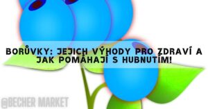 Borůvky: Jejich Výhody Pro Zdraví A Jak Pomáhají S Hubnutím!