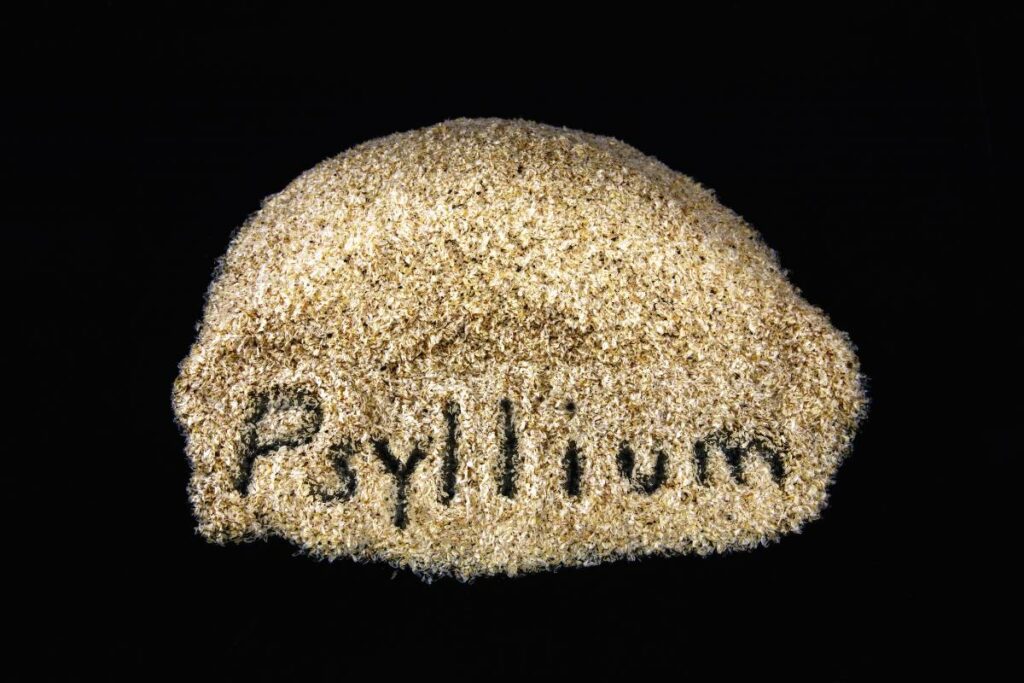 co je to psyllium