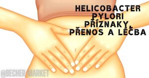 an anatomical illustration of a person holding their stomach area, highlighting Helicobacter pylori symptoms, transmission, and treatment.
