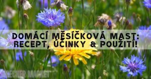 a vibrant meadow with cornflower and yellow chamomile flowers, highlighting natural ingredients for homemade měsíčková mast.