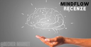 a hand holding a glowing, semi-transparent brain illustration symbolizing mental clarity and cognitive enhancement, labeled "Mindflow recenze"