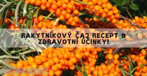 Rakytníkový Čaj Recept & Zdravotní Účinky!