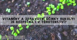 Vitamíny A Zdravotní Účinky Rukoly! Je Bezpečná I V Těhotenství?