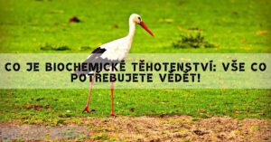 Co je biochemické těhotenství: Vše co potřebujete vědět!
