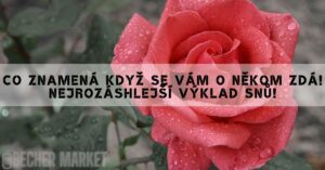 Co Znamená Když Se Vám O Někom Zdá! Nejrozáshlejší Výklad Snů!