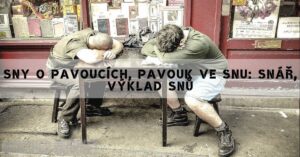 Snář Pavouk: Proč Se Zobrazuje Pavouk Ve Snu!