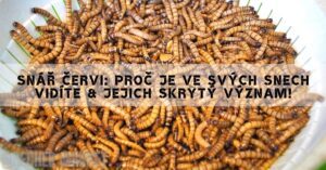 Snář Červi: Proč Je Ve Svých Snech Vidíte & Jejich Skrytý Význam!