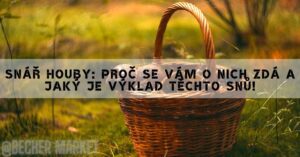 Snář Houby: Proč Se Vám O Nich Zdá A Jaký Je Výklad Těchto Snů!