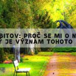 Snář Hřbitov: Proč se mi o něm zdá? Jaký je význam tohoto snu?
