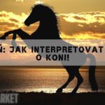 Snář Kůň: Jak Interpretovat Váš Sen O Koni!