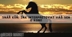 Snář Kůň: Jak Interpretovat Váš Sen O Koni!