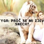 Snář Tygr: Proč Se Mi Zjevuje Ve Snech?