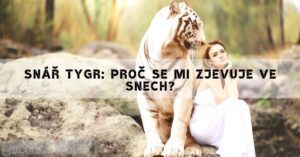 Snář Tygr: Proč Se Mi Zjevuje Ve Snech?