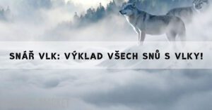 Snář Vlk: Výklad Všech Snů S Vlky!