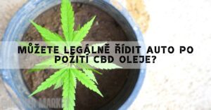 CBD za volantem: Mohu po požití kapek řídit auto?