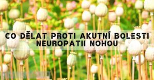 poppy seed pods in a garden with blurred green foliage, symbolizing natural remedies for acute leg pain and neuropathy treatments.