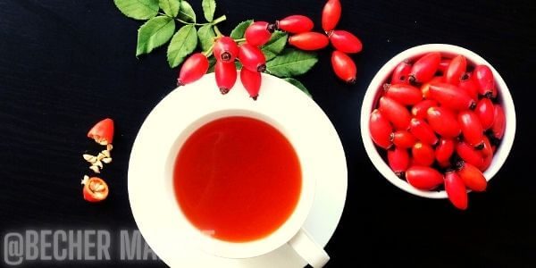 Čaj na vysoký krevní tlak: Který funguje nejlépe? & 2 Recepty!