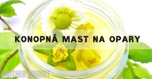 a glass jar containing hemp (konopná) flower-infused oil with yellow blossoms, used for natural skin remedy applications like soothing inflammatory skin conditions