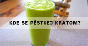 Kde se pěstuje kratom? Jak ho pěstovat doma..