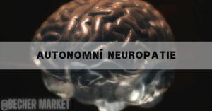 a close-up, semi-transparent medical model of the human brain with a superimposed dark overlay, highlighting brain structure related to neurological conditions like autonomní neuropatie.