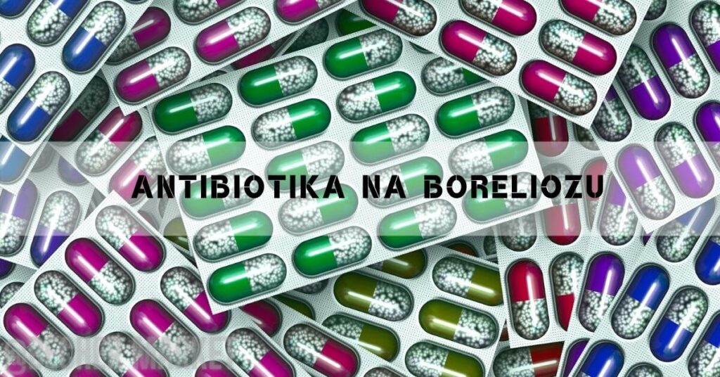 Antibiotika na boreliozu: Která jsou nejlepší & Kdy začnou účinkovat!