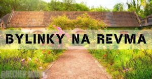 Bylinky na revmatimus: Které & Jak je používat!