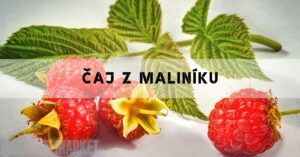 raspberries with leaves and flowers, highlighting malinový čaj ingredients