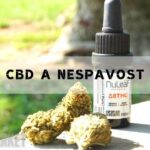 Cbd Lapky na Spaní: Které jsou nejlepší? Kolik & kdy brát?