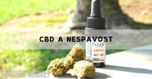 a bottle of NuLeaf Naturals full-spectrum CBD oil with dropper, labeled 150mg per bottle, placed beside dried hemp buds, outdoors.