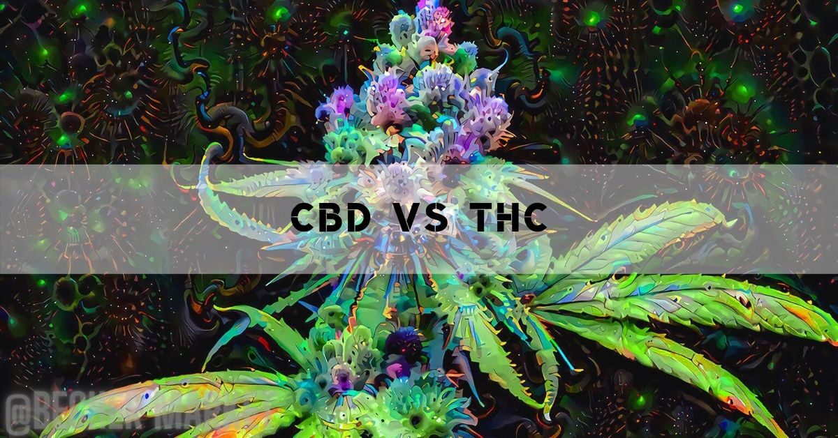 THC vs. CBD: Mohou se kombinovat? Jaké jsou mezi nimi rozdíly?