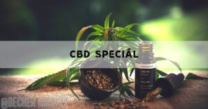 a hemp plant with CBD oil bottle labeled "hemp touch CBD Oil Amber" and hemp seeds in a wooden bowl