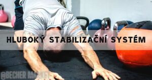a person performing a deep core stabilization exercise, demonstrating engagement of the hluboký stabilizační systém in a plank position.