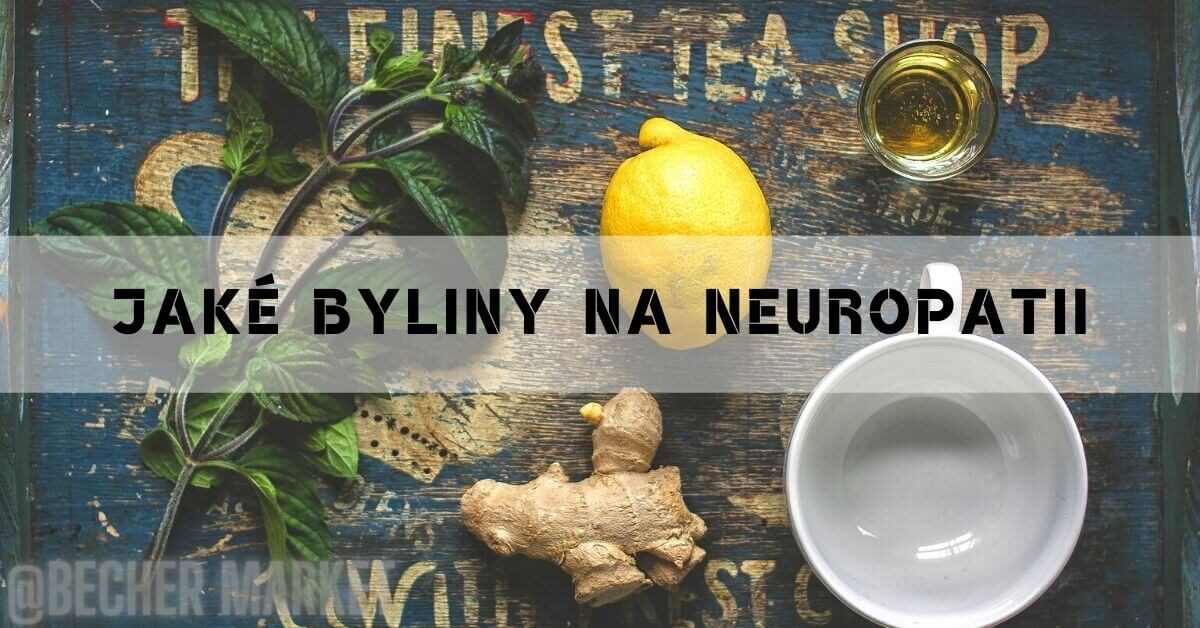 Jaké byliny na neuropatii: Seznam těch nejúčnějších!