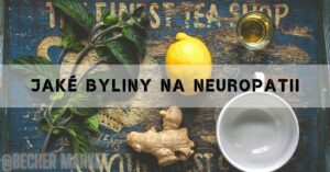 Jaké byliny na neuropatii: Seznam těch nejúčnějších!