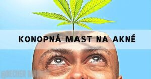 a person’s head with an emerging cannabis leaf from the top, illustrating konopná mast as a topical treatment for akné.