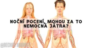 two individuals with transparent overlays of human circulatory and organ systems highlighting liver-related health, suggesting potential links to night sweats and liver conditions.