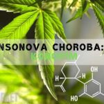 Parkinsonova choroba: Lu00e9u010dba konopu00edm & cbd! 4 Parkinsonova Choroba: Léčba konopím & CBD!