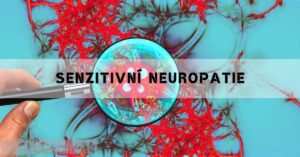 a magnified view of sensory nerve fibers under examination, highlighting structural details related to senzitivní neuropatie