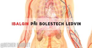 an anatomical illustration of the human torso highlighting kidneys and internal organs with text "ibalgin při bolestech ledvin"