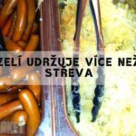 Kysané zelí: Zdravotní účinky, rizika a nutriční informace + [recept]