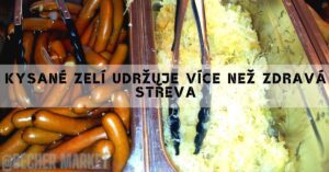 Kysané zelí: Zdravotní účinky, rizika a nutriční informace + [recept]