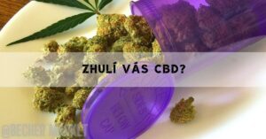 zhuli me cbd