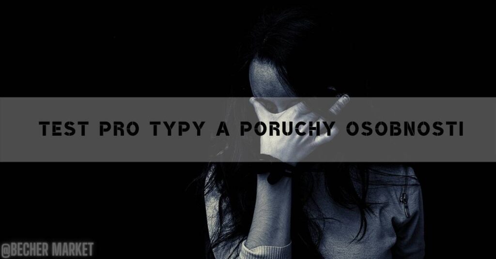 Test Pro Typy A Poruchy Osobnosti [year]
