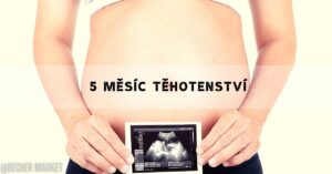 Kdy Začíná 5. Měsíc Těhotenství? A Vše O Něm!