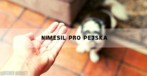 a hand holding a small white pill with a dog in the background, emphasizing potential dangers of medication for pets.