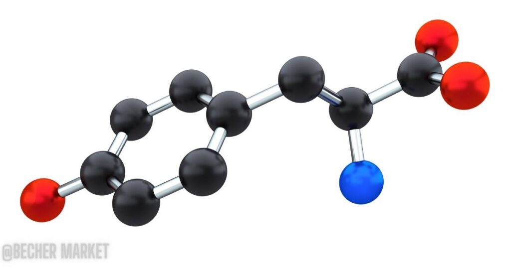 l tyrosin