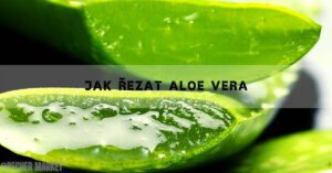 Jak Správně Řezat Aloe Vera & 20 Způsobů Použítí!