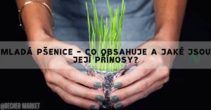 10 Zdravotních Účinků Mladé Zelené Pšenice & Rizika!