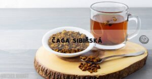 Čaga Sibiřská: Účinky, Rizika, Recepty & Dávkování!